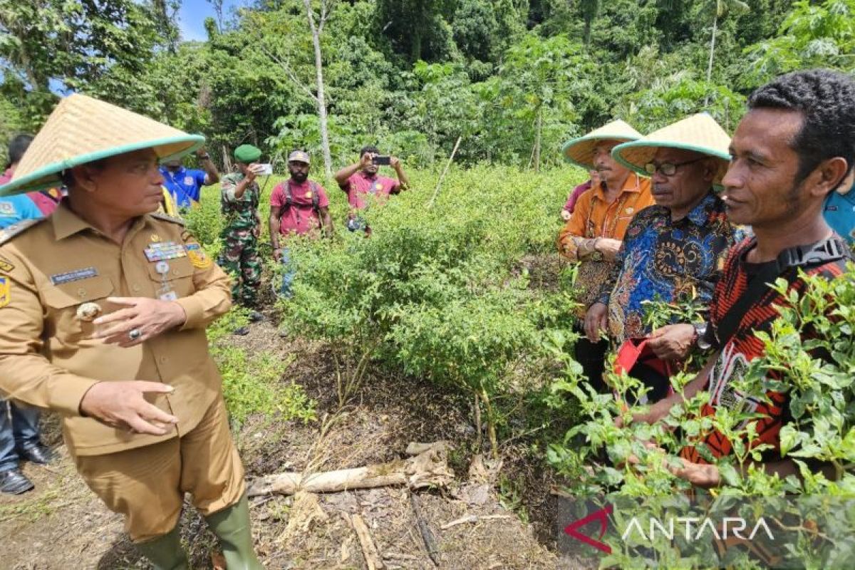 Pj Gubernur Papua: Lahan HGU milik pemerintah dapat beralih fungsi