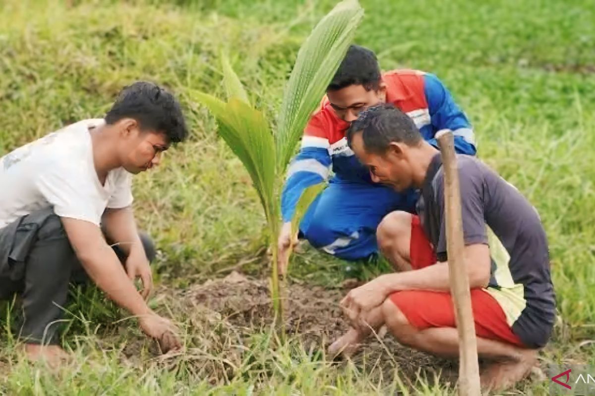 Warga Talang Jambe Sumsel lakukan gerakan menanam pohon