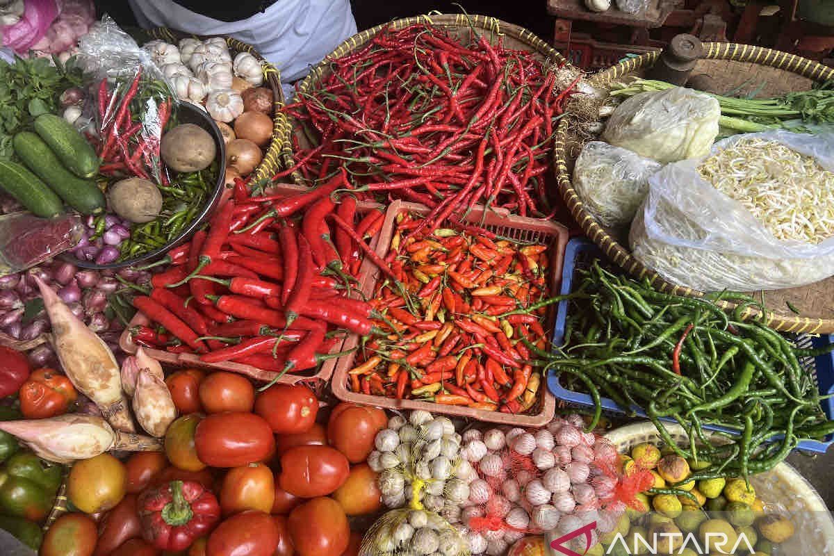 Harga pangan hari ini, cabai rawit jadi Rp41.480 per kg