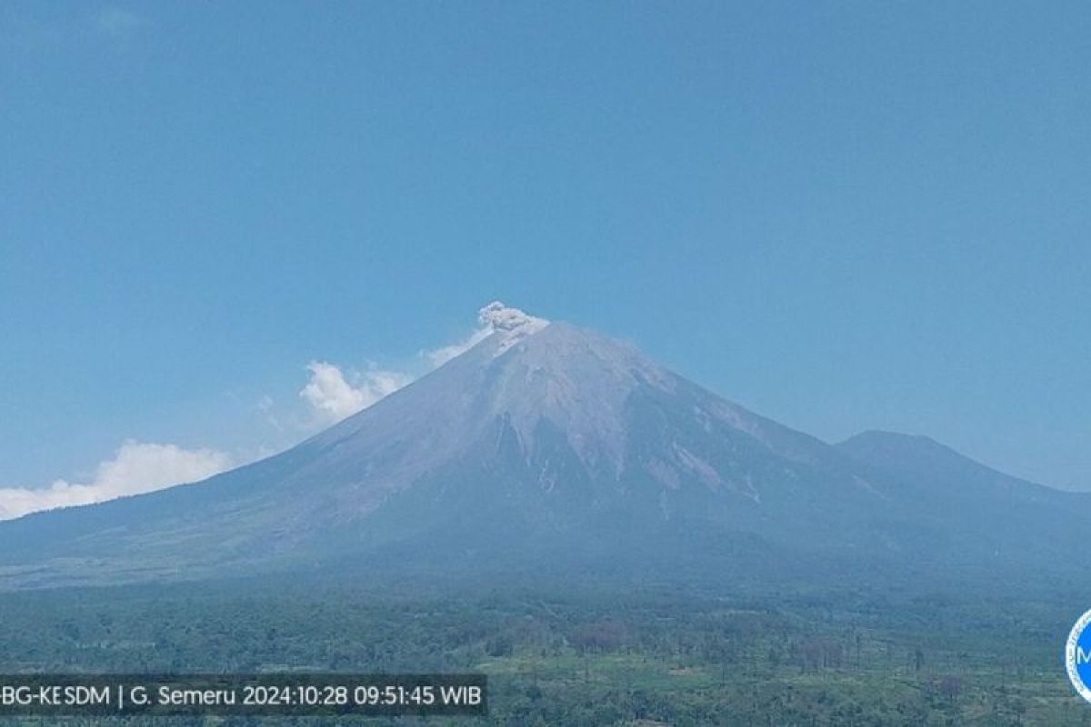 Gunung Semeru alami erupsi lagi dengan letusan hingga 800 meter