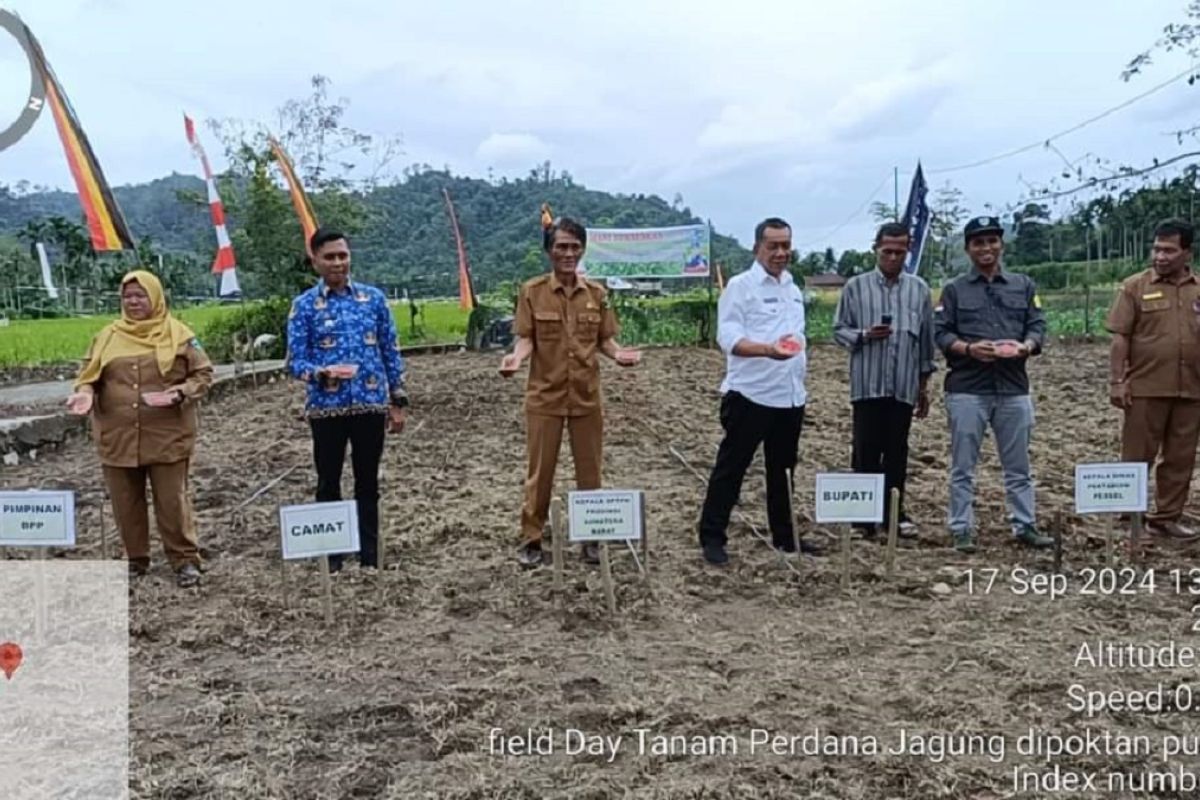 Bupati Rusma Yul Anwar Buka Kegiatan Fiel Day Tanaman Jagung pada Keltan Pulau Air