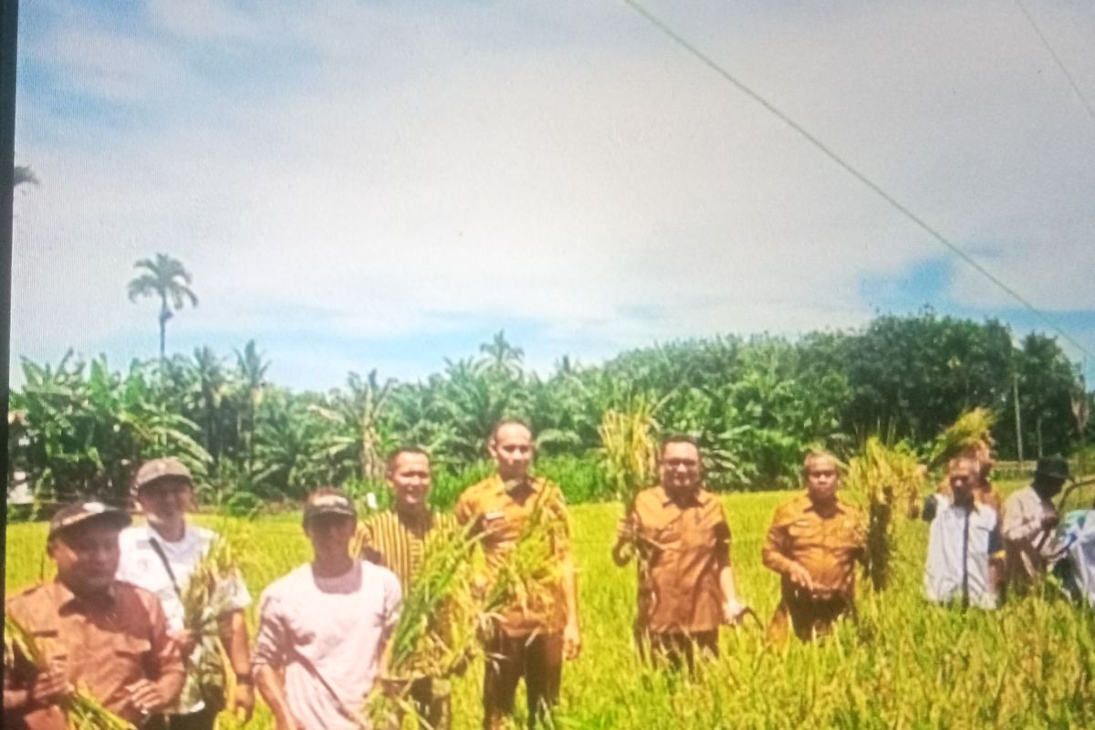 Pasaman Barat lakukan program pompanisasi upaya atasi kekeringan