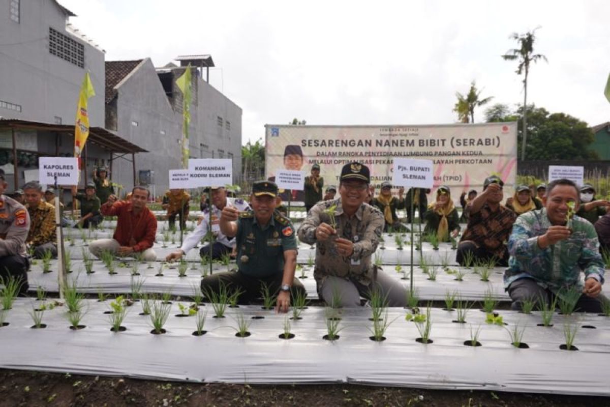 TPID Sleman canangkan "Sesarengan Nanem Bibit" wujudkan ketahanan pangan