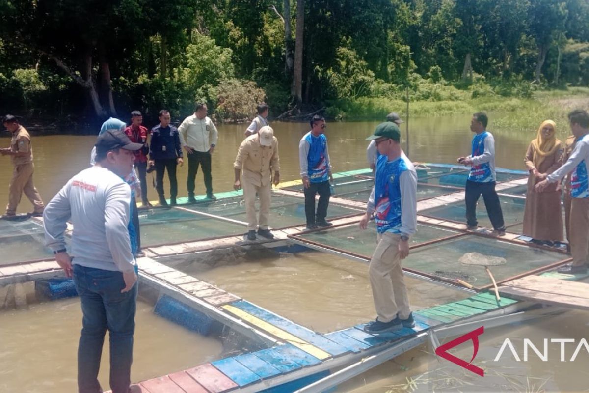 Desa Karang Dapo OKU  panen patin hasil budi daya masyarakat