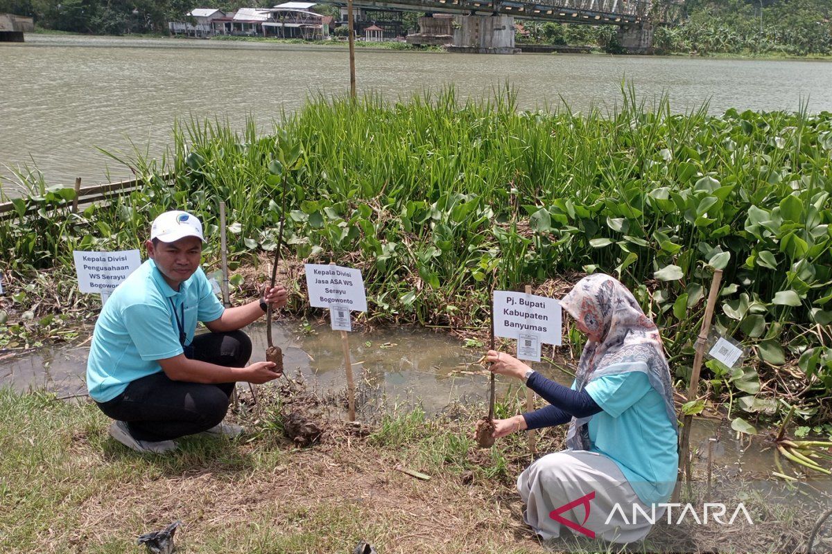 DAS Serayu miliki peran penting bagi masyarakat Banyumas