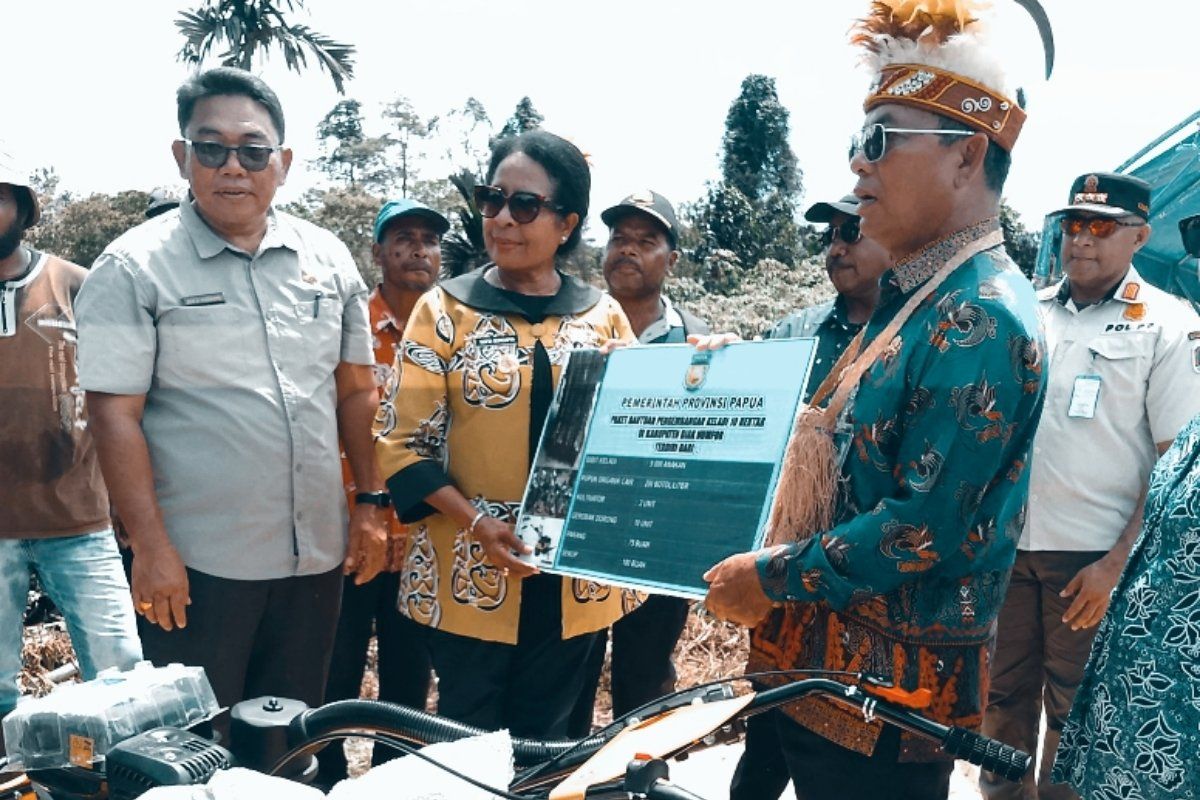 Sektor perikanan-pertanian berkontribusi tingkatkan pendapatan keluarga Biak