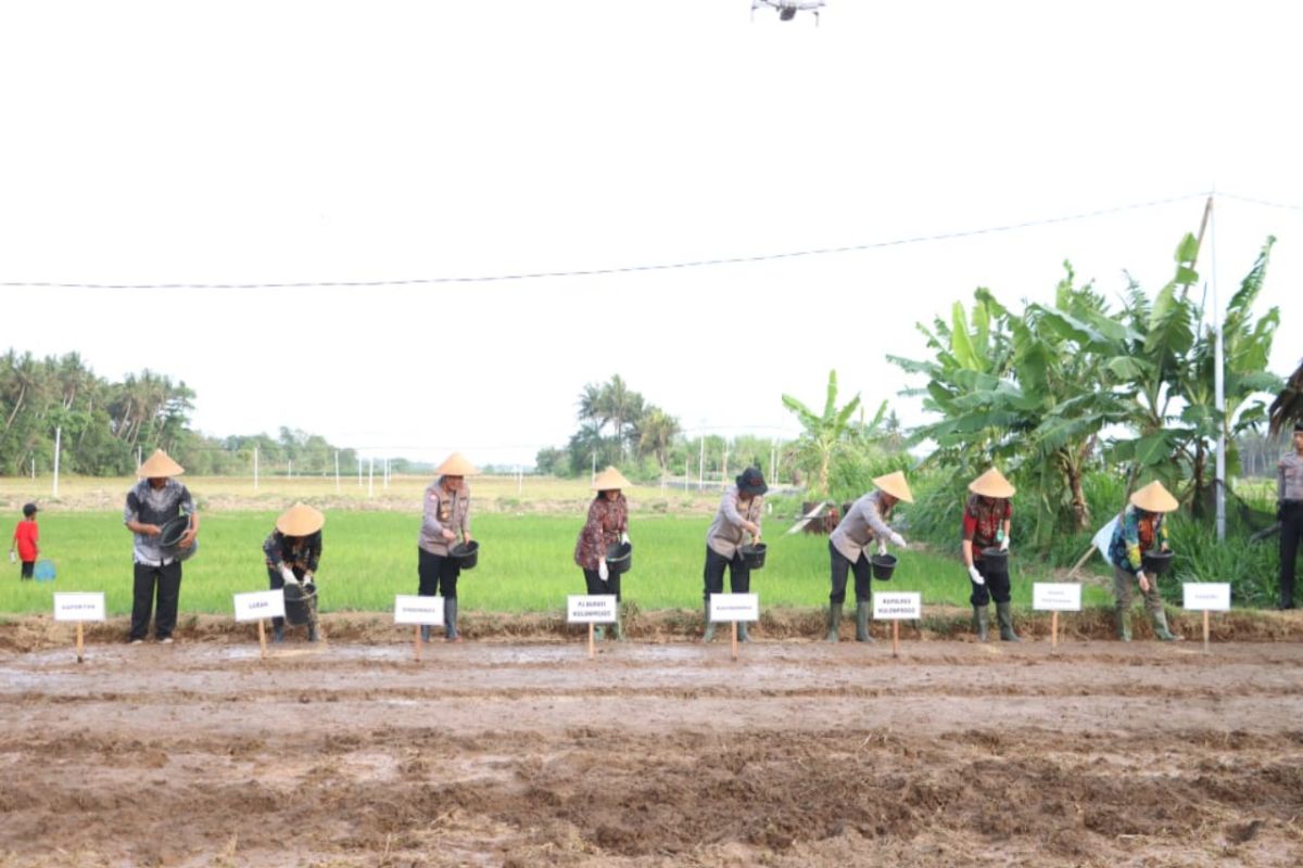 Kakorbinmas Baharkam Polri menyemai padi di Nglatek Kulon Progo