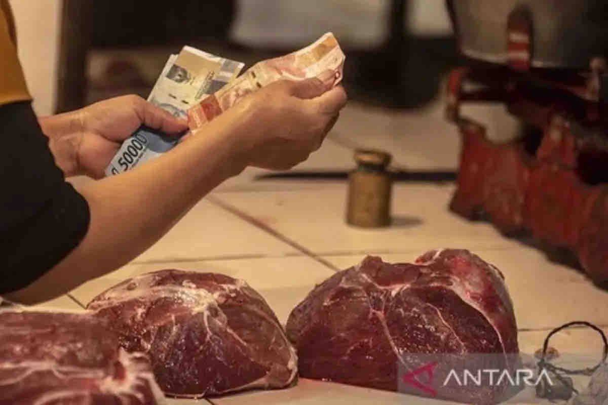 Harga pangan hari ini, daging sapi turun jadi Rp134.340 per kg