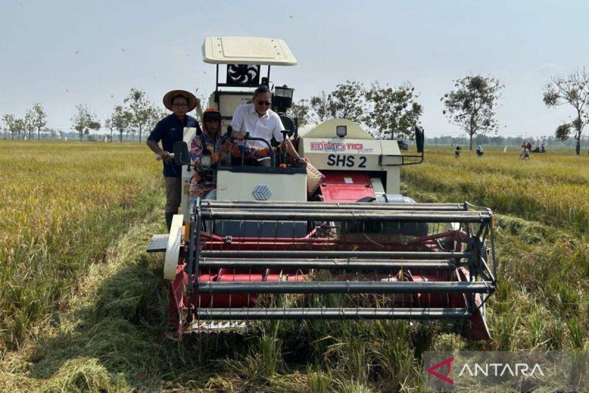 Menko Zulkifli: Penggunaan teknologi kurangi food loss saat panen padi