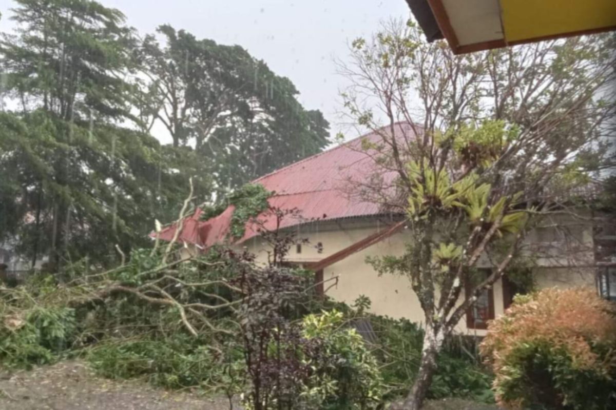 16 rumah di Solok Selatan rusak  akibat hujan disertai angin kencang