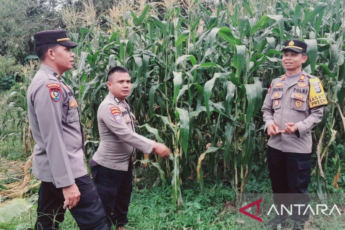 Bhabinkamtibmas di Sawahlunto 'praktek' jadi petani dalam mendukung Asta Cita ketahanan pangan