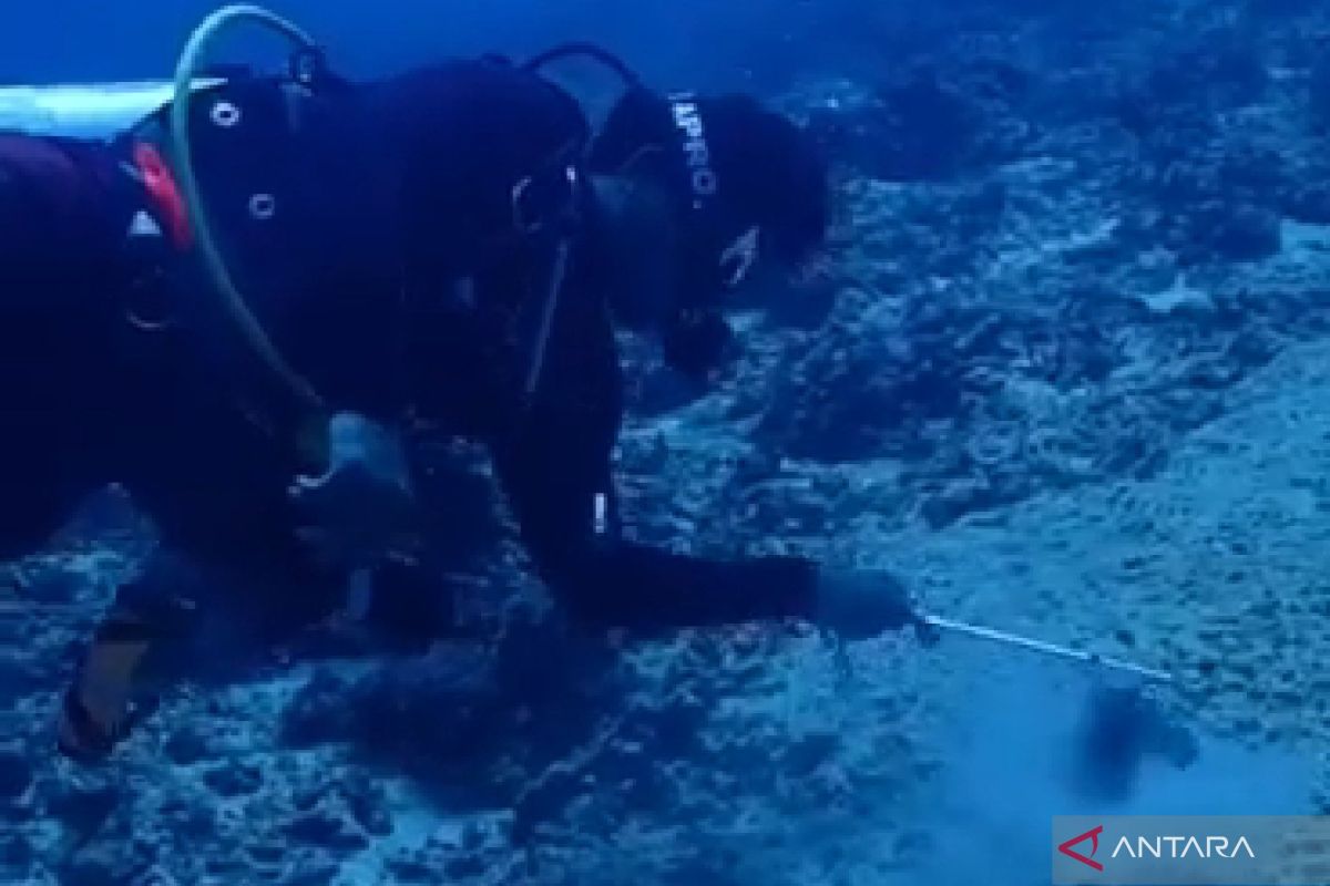 Pelapor kerusakan laut Gili Trawangan minta Mabes Polri evaluasi Polda NTB