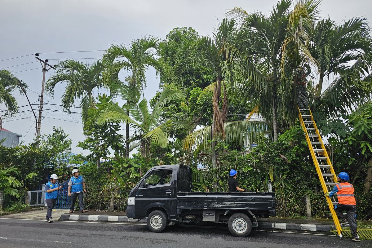 PLN Sulutenggo: Perhatikan jaringan  listrik saat cuaca ekstrem