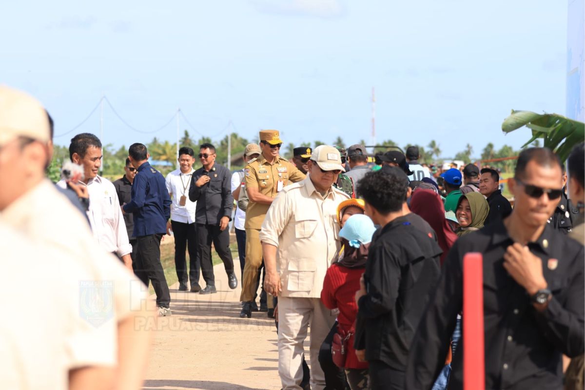 Presiden Prabowo kunjungi Papua Selatan meninjau PSN ketahanan pangan