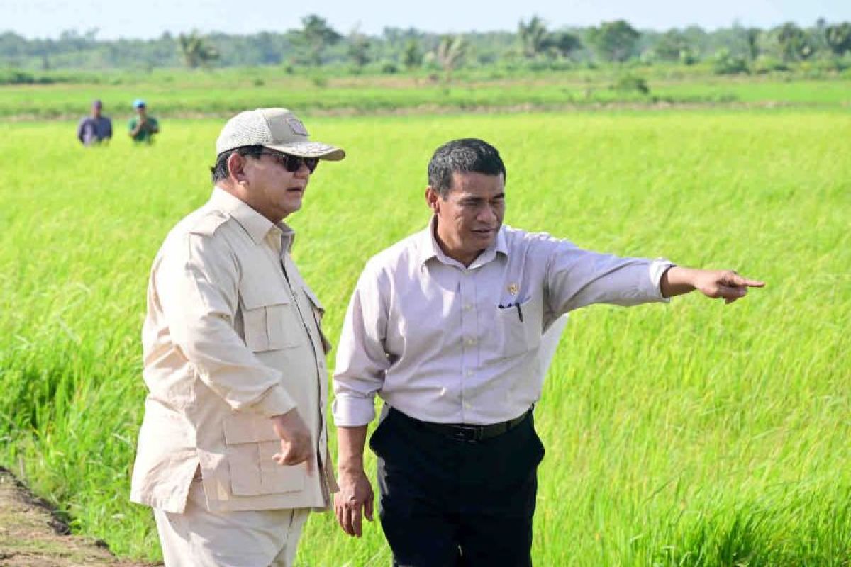 Mentan berikan pendampingan petani dan penerapan mekanisasi