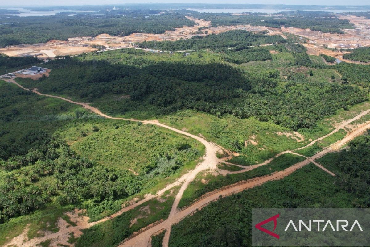 Bank Tanah laksanakan kewajiban reforma agraria di Penajam Paser Utara