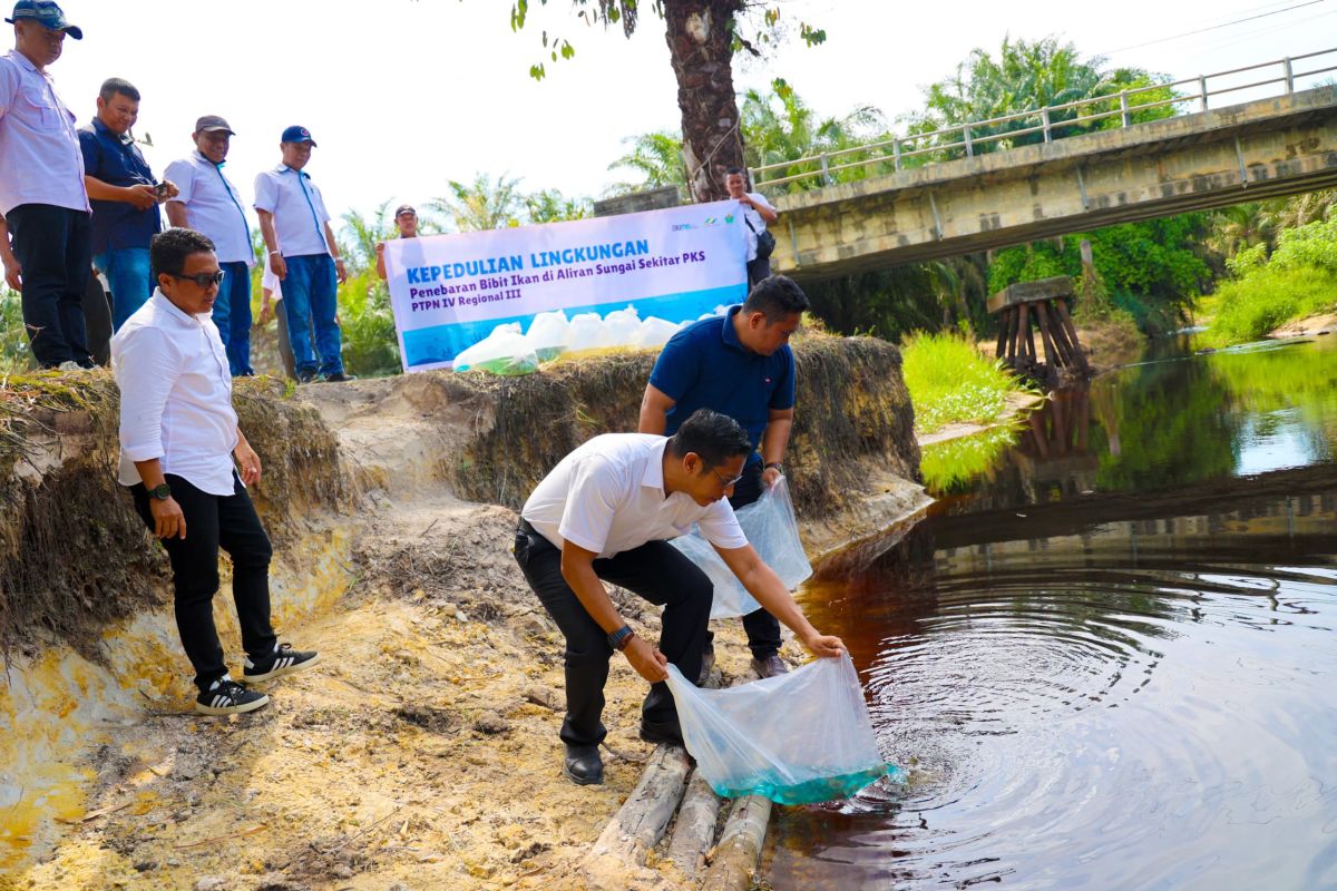 PTPN IV Regional III tebar 60 ribu bibit ikan endemik di Riau