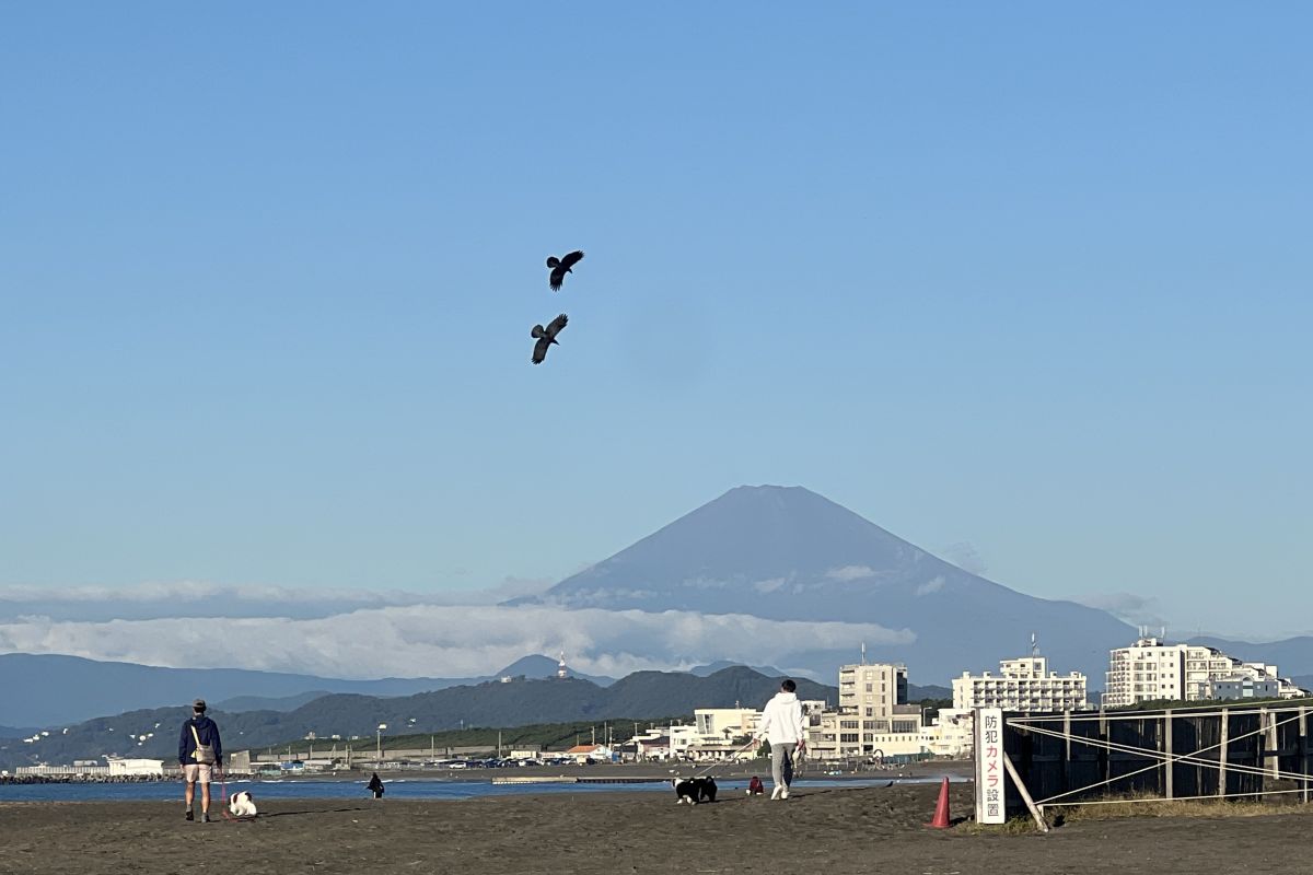 Pertama kali dalam 130 tahun, Gunung Fuji tidak bersalju hingga awal November