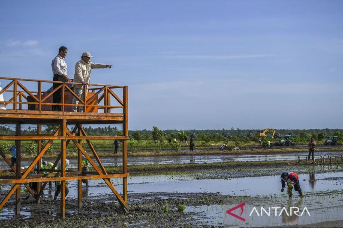 Tekad presiden membangun ekosistem swasembada pangan