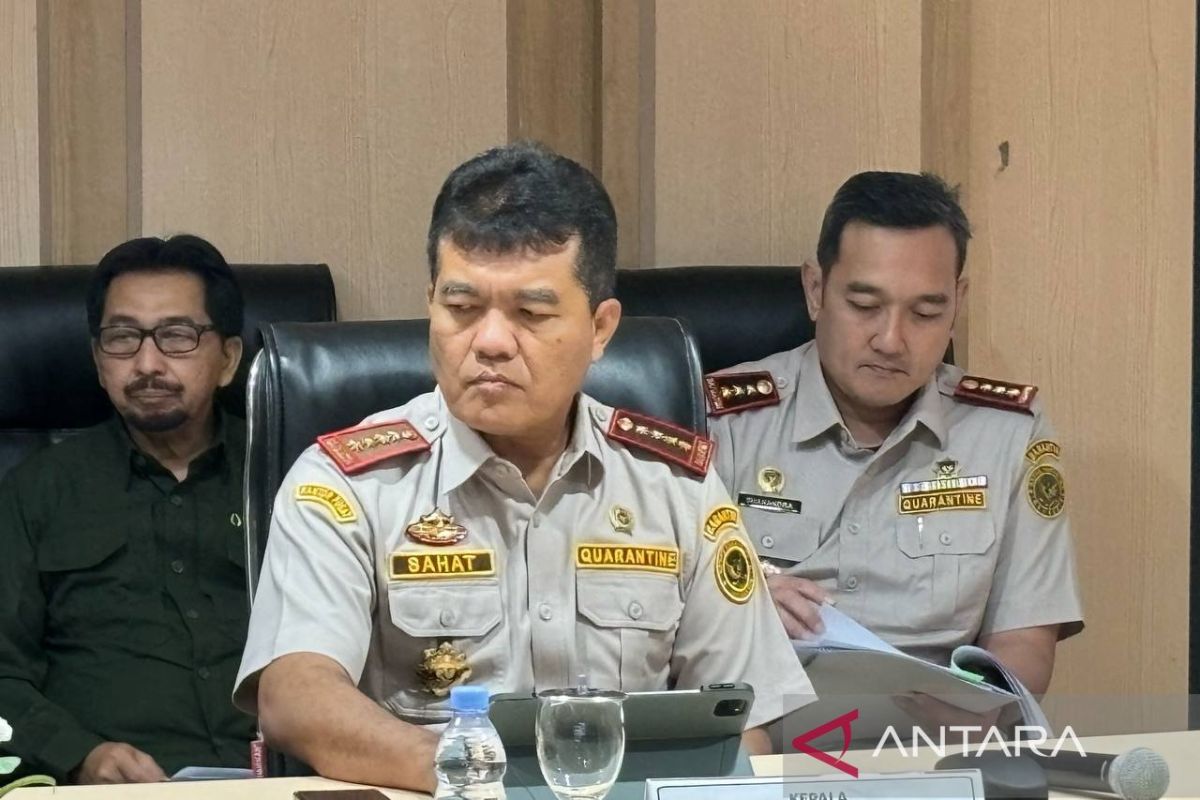 Barantin lakukan pengawasan ketat pada anggur shine muscat asal China