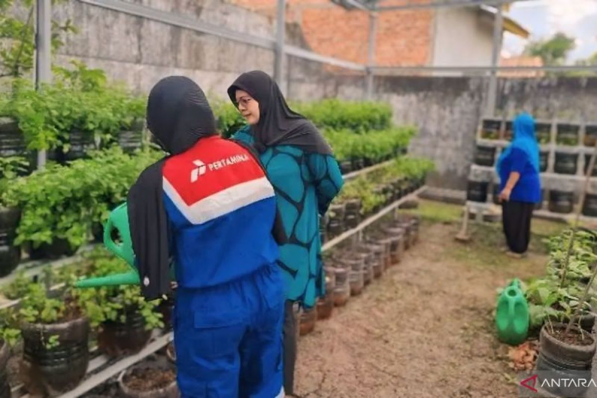 Pertamina gelar penghijauan tanaman hortikultura di rumah hijau