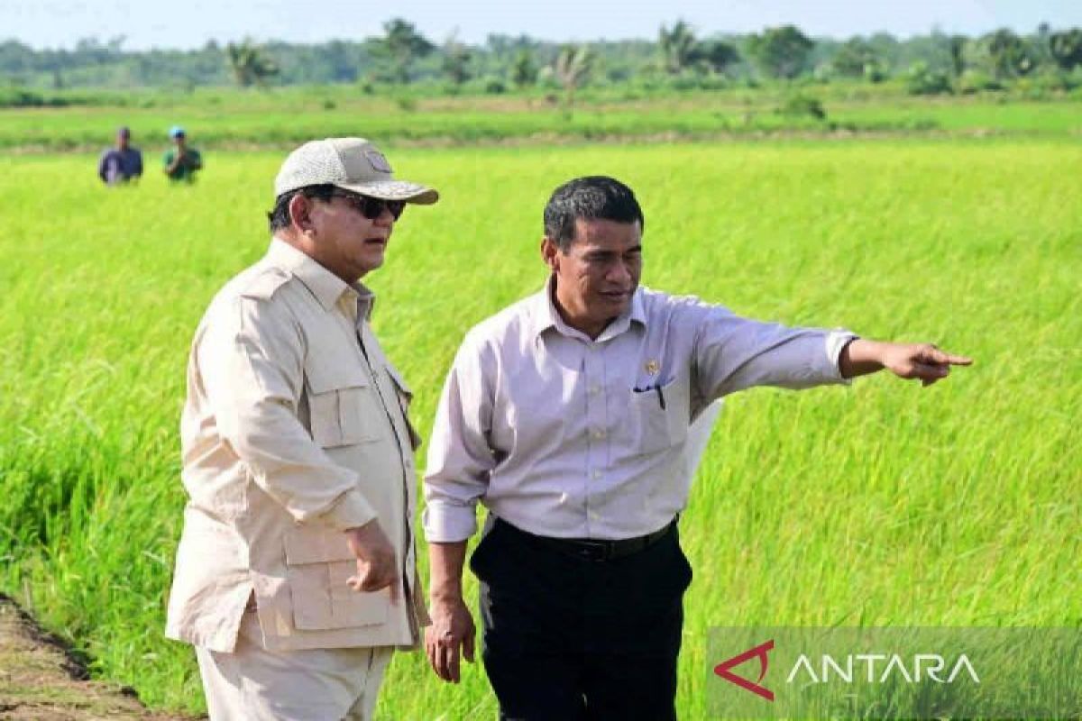 Politik kemarin, pertemuan Prabowo dengan Jokowi hingga agenda Gibran