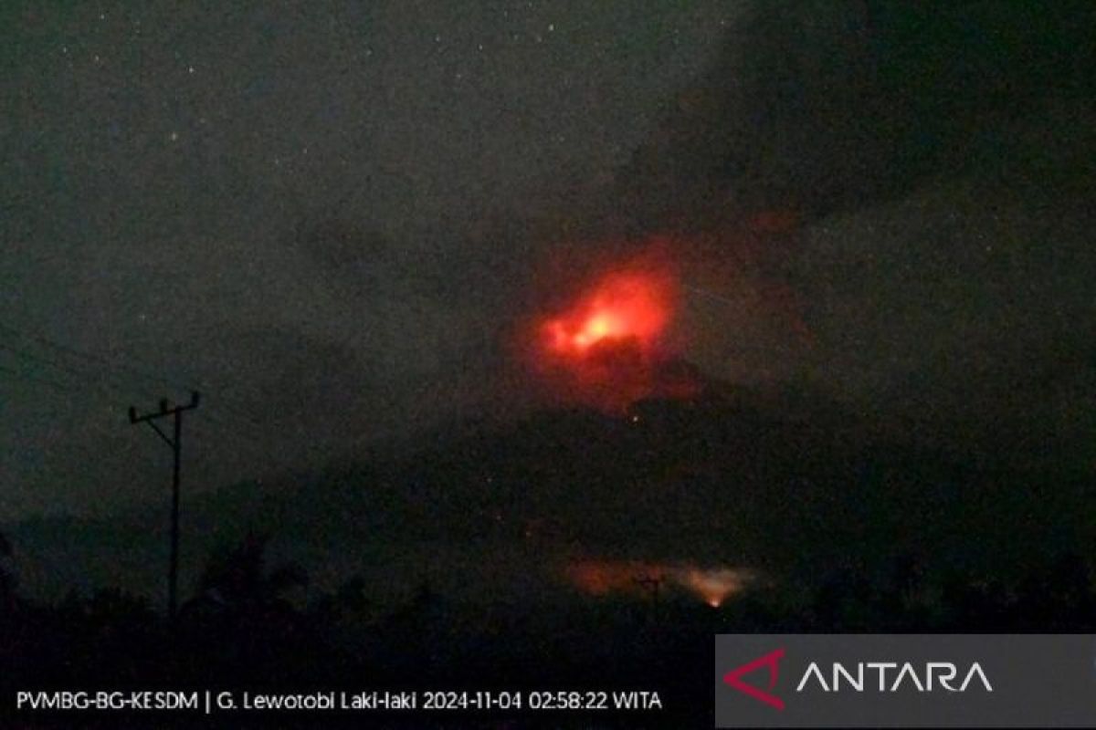 Empat bandara tidak beroperasi akibat erupsi Gunung Lewotobi