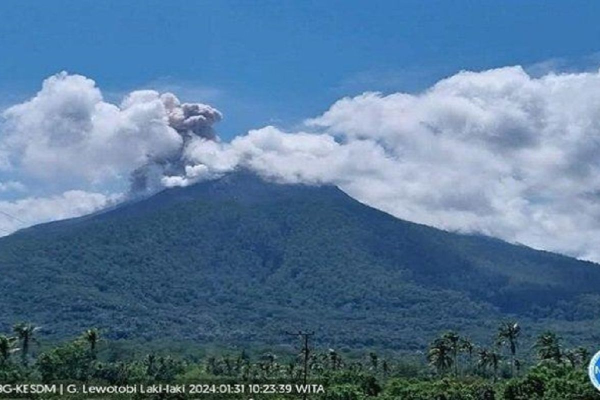 Empat bandara di Pulau Flores tidak beroperasi akibat erupsi Gunung Lewotobi