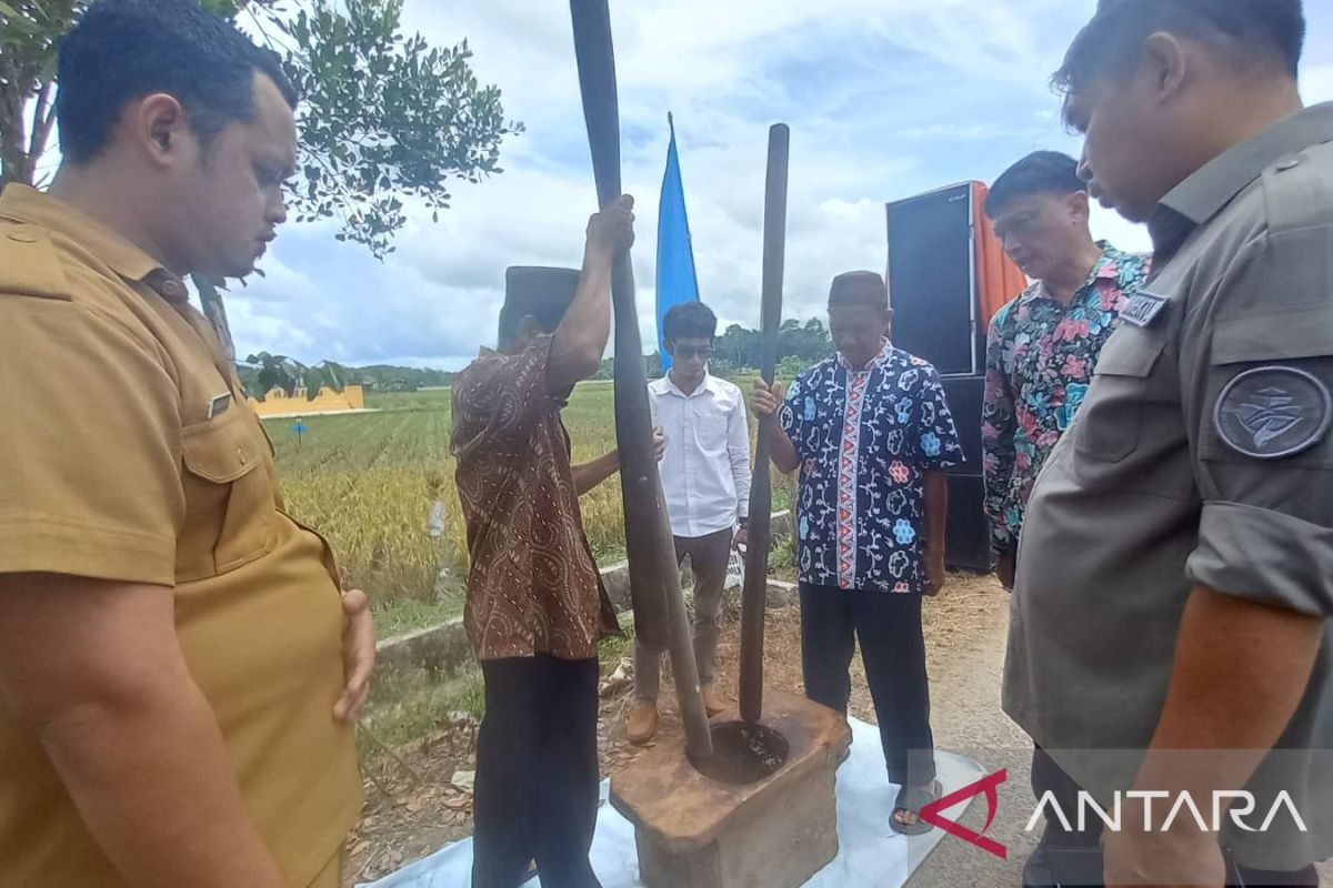 Produksi beras petani Babel naik 13,52 persen