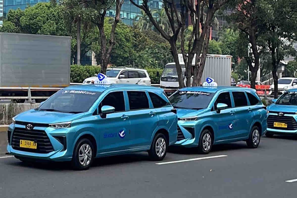 Bluebird catat pendapatan Rp3,66 triliun hingga Oktober 2024