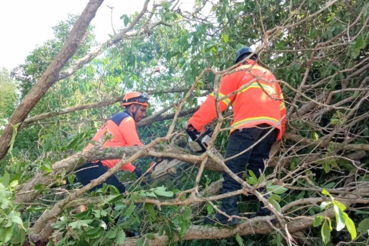 BPBD Kabupaten Karimun siaga 24 jam antisipasi bencana hidrometeorologi