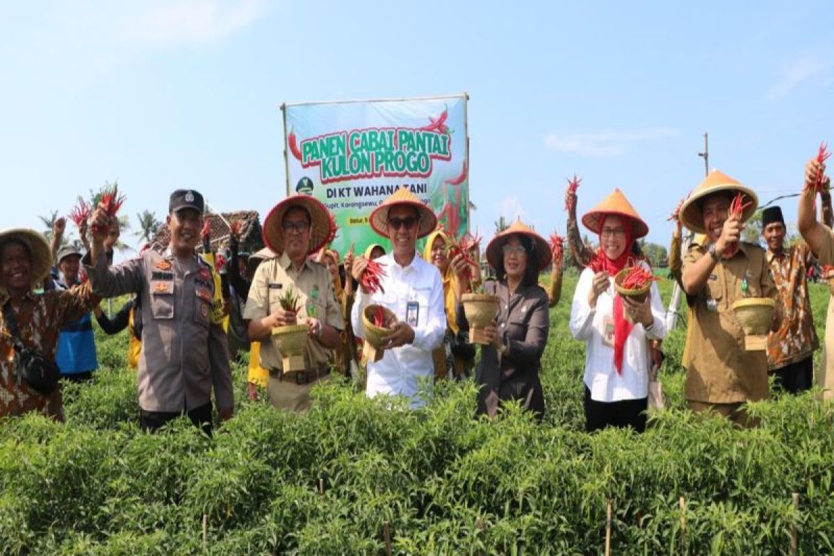 Kementan serahkan bantuan bangsal pascapanen hortikultura di Kulon Progo