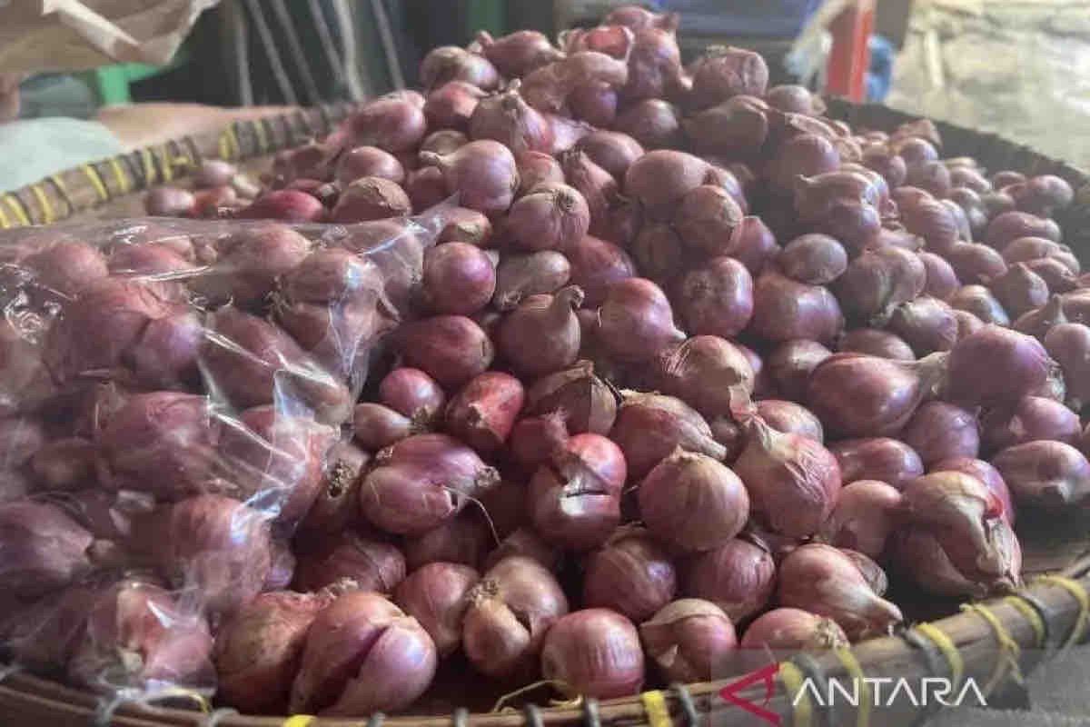 Harga pangan di Rabu pagi, bawang merah naik menjadi Rp35.290 per kg