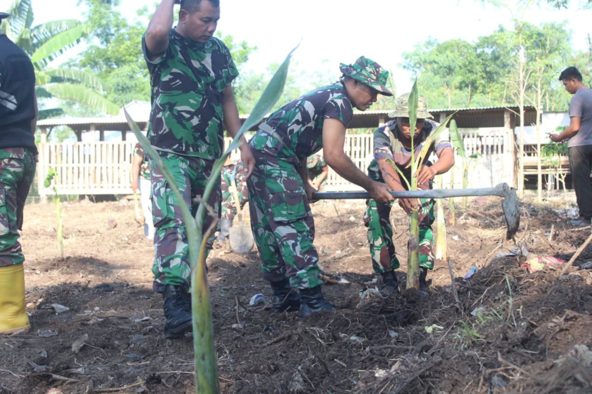 TNI canangkan program gerakan tanam pisang di kawasan Lombok Tengah