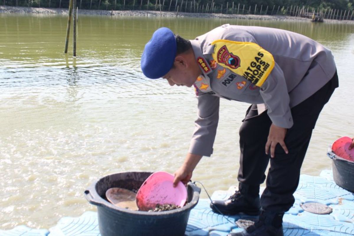 Ditpolairud Polda Jateng tebar 5 ton benih kerang di  Demak