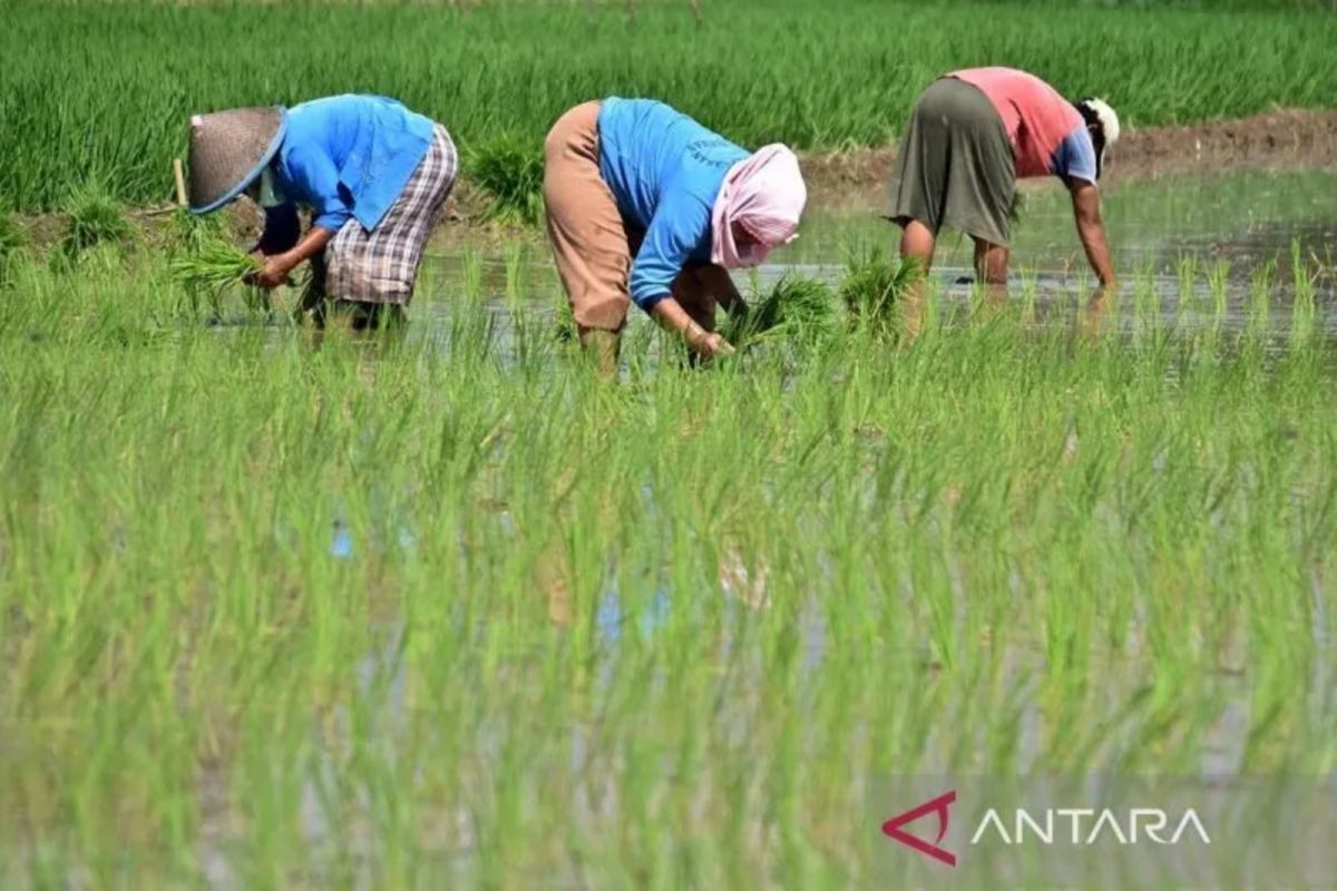 Pemda DIY mendukung pemanfaatan tanah kalurahan demi kesejahteraan rakyat