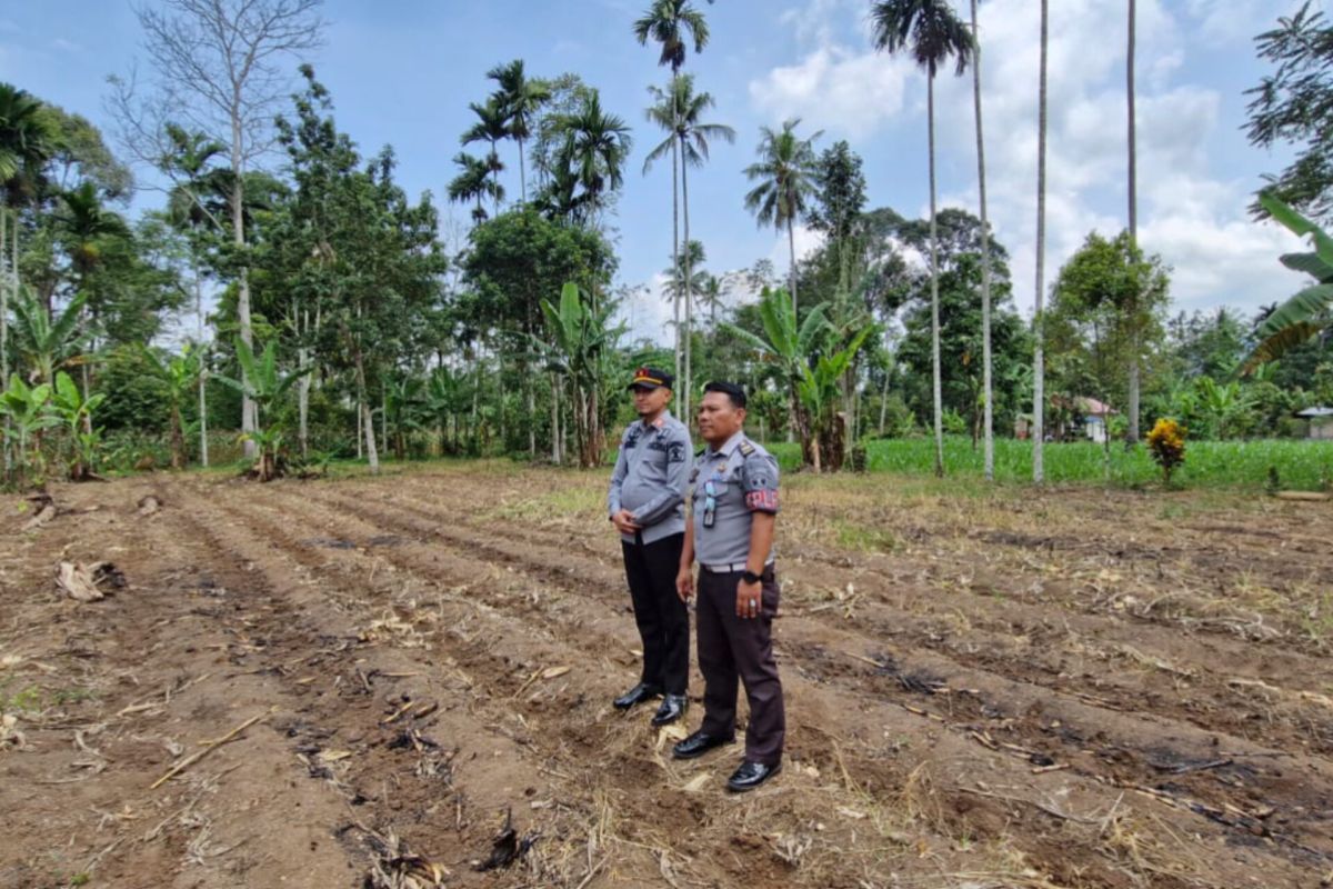 Lapas Suliki siapkan lahan 850 hektare dukung ketahanan pangan