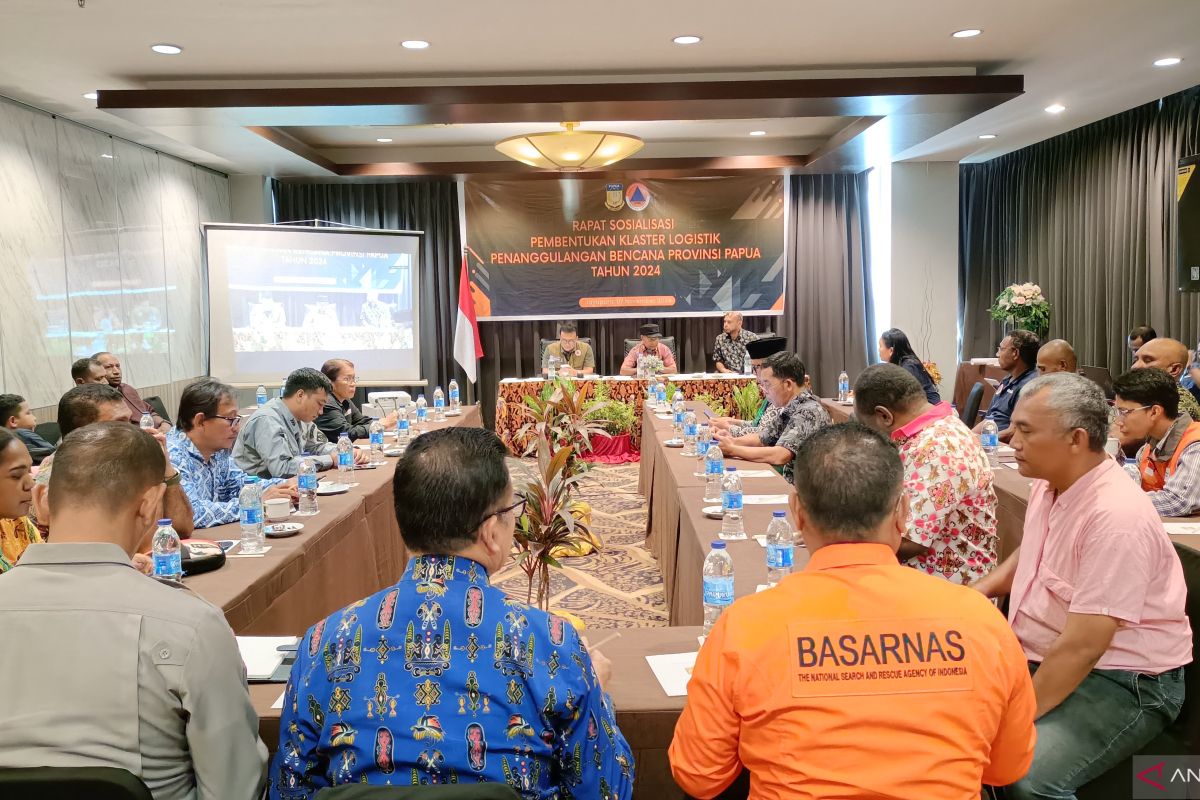 BPBD Papua susun struktur anggota klaster logistik