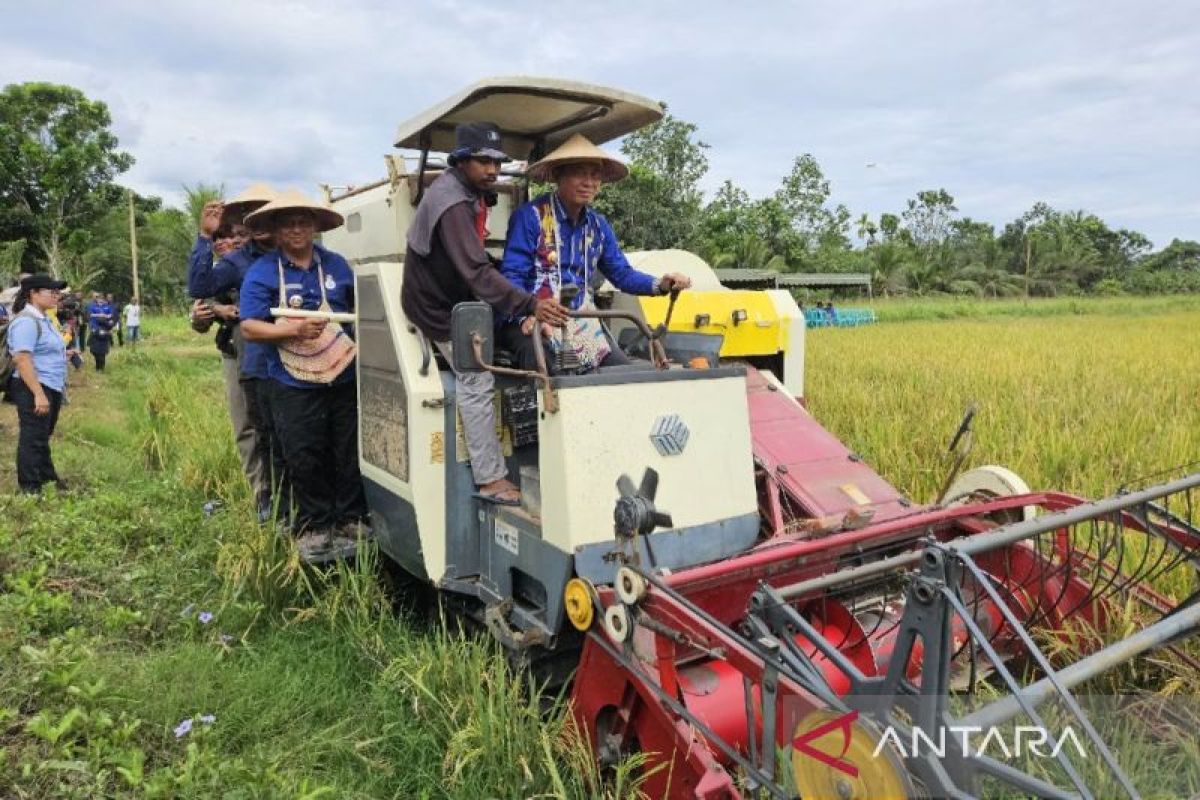 Program swasembada pangan Papua disesuaikan potensi daerah