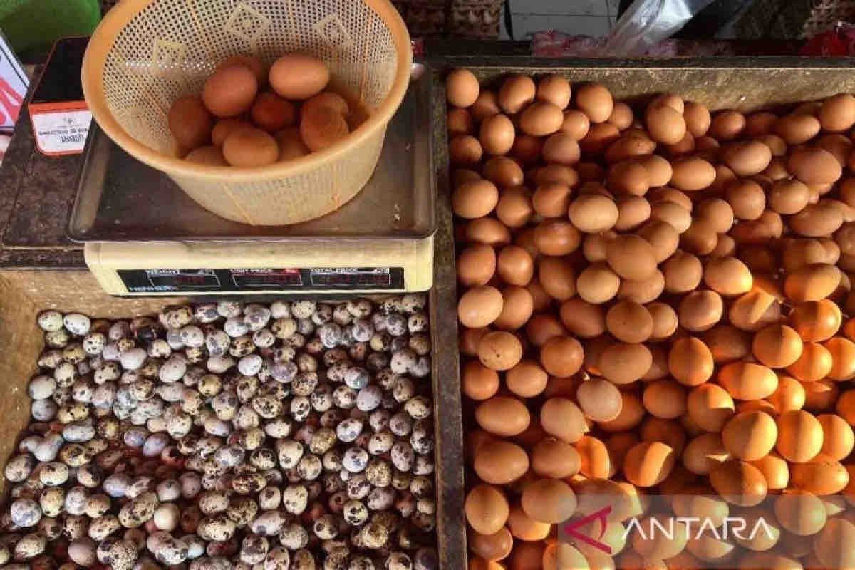 Harga pangan hari ini, telur ayam naik jadi Rp28.700 per kg