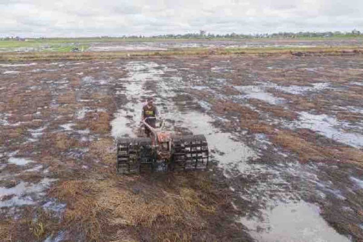 Kementan: Bantuan alsintan gratis, bila ada pungli segera laporkan