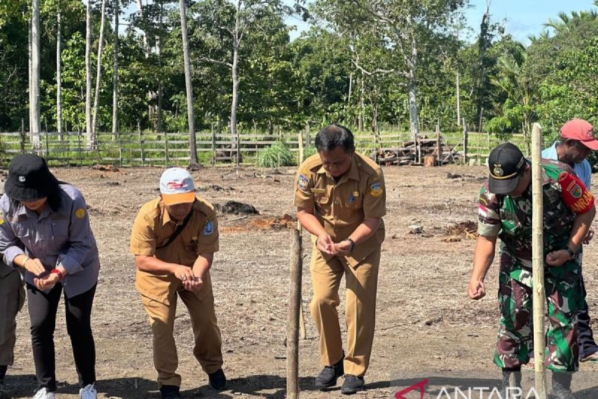 Pemkab Jayapura siapkan 316 hektare lahan ketahanan pangan