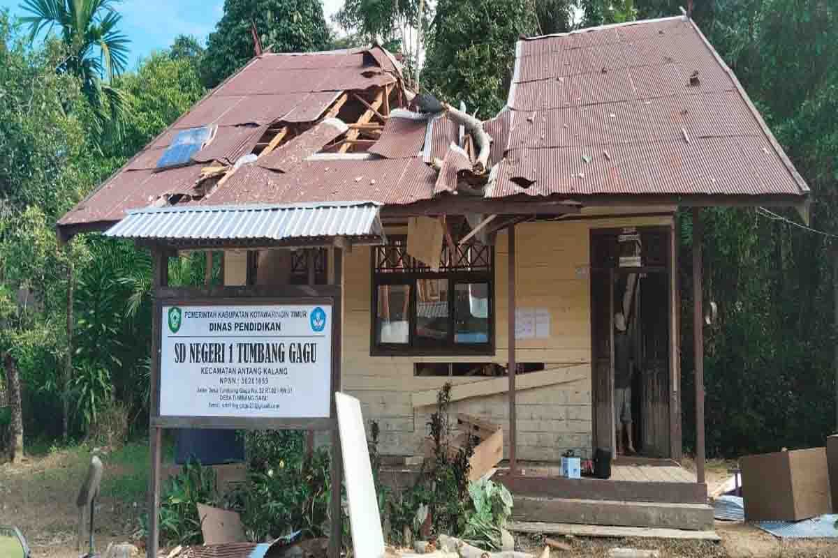 Disdik Kotim segera tindak lanjuti insiden sekolah tertimpa pohon tumbang