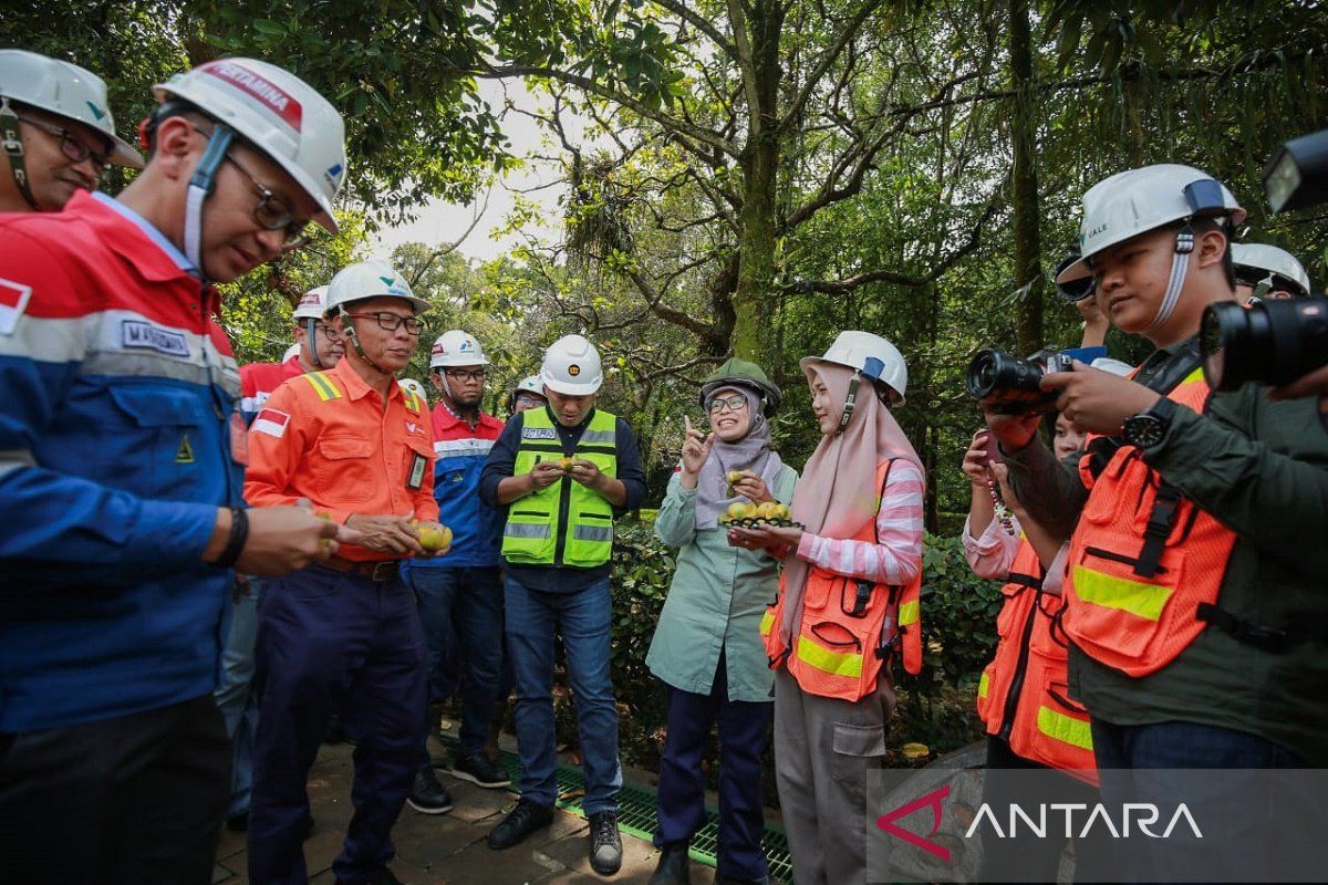 PT Vale jadi pionir penggunaan BBM Pertamina ramah lingkungan