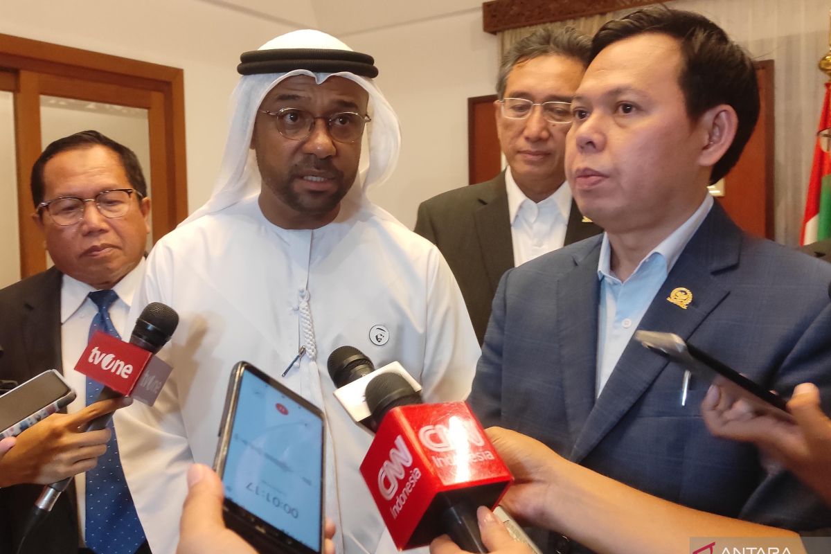 Ketua DPD nilai kemitraan RI-UAE harus ditingkatkan