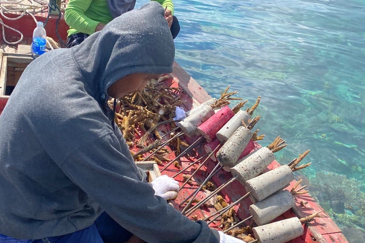 Pemkab Natuna ajak masyarakat menjaga keseimbangan alam