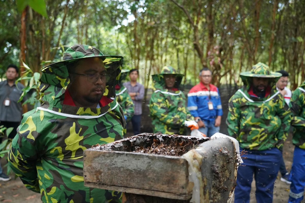 Pertamina kembangkan ekonomi hijau di Pangkalpinang