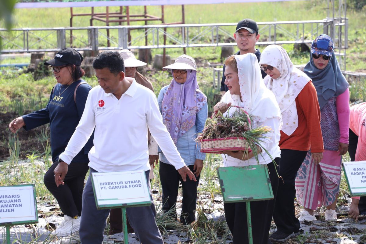 Pemkot Semarang dan BRIN panen bawang merah