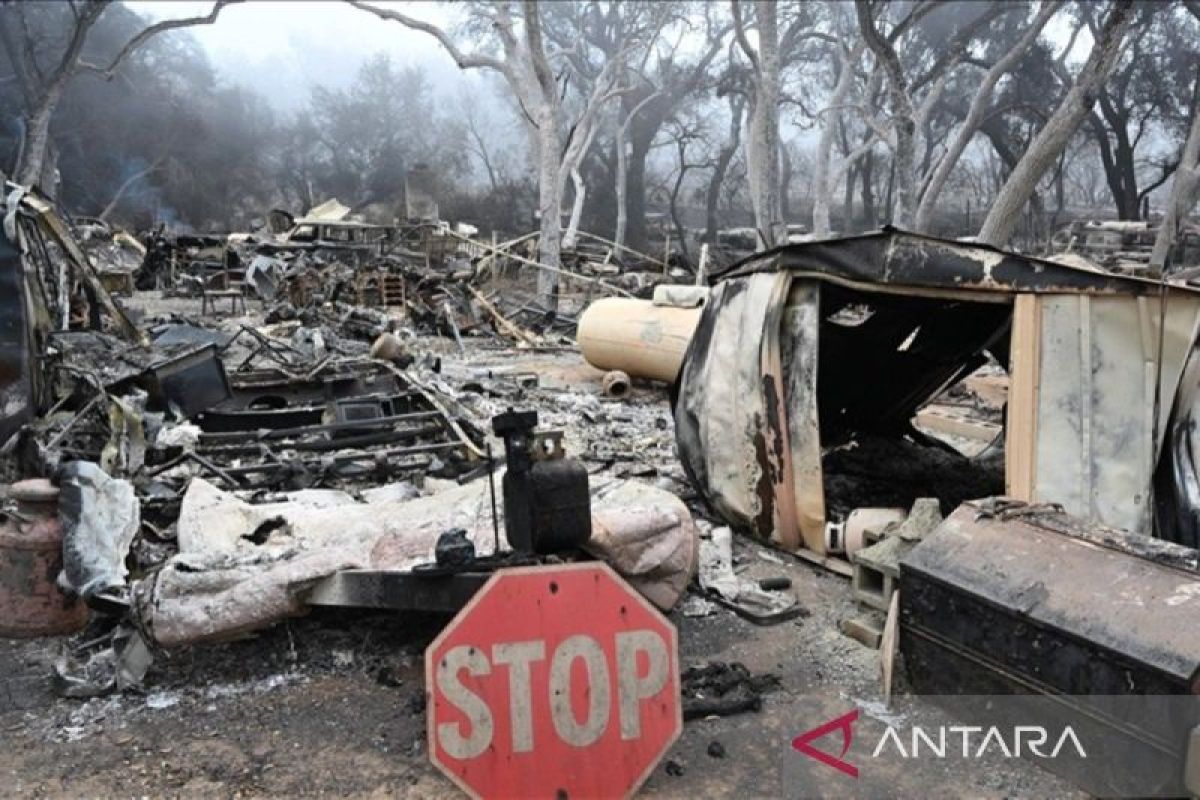 Kebakaran hutan hebat di California paksa 14.000 warga untuk mengungsi