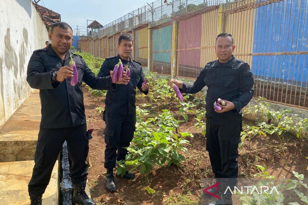 Lapas Batang tanami lahan tidur jadi lumbung pangan